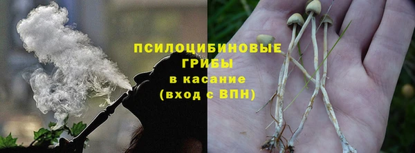 эйфоретик Красноперекопск