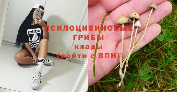 эйфоретик Красноперекопск