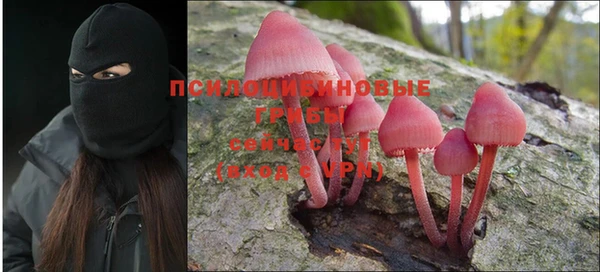 мет Краснослободск