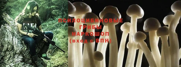 гидра Краснотурьинск
