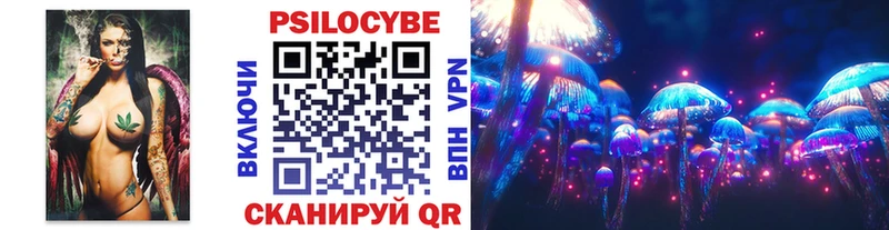 omg как войти  Славск  Псилоцибиновые грибы мухоморы  закладка 